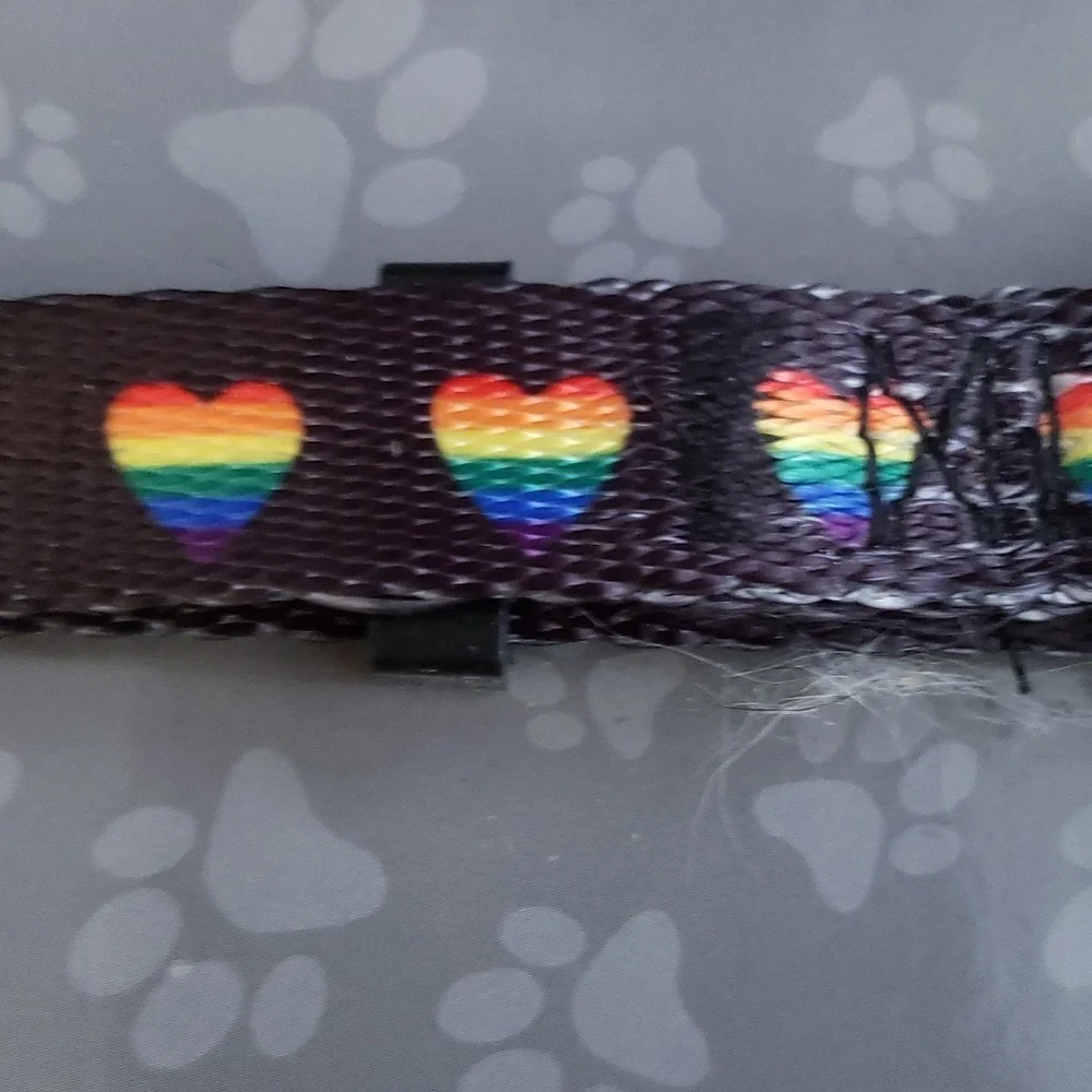 Millenium Black with Rainbow Hearts Adjustable Dog Collar Size S 9 to 14 inches